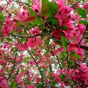 Meet your Posher, Alexzandra